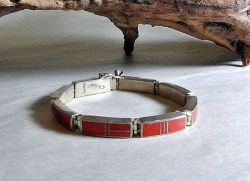 J1066_Coral_Brac_51cdd2784e913.jpg